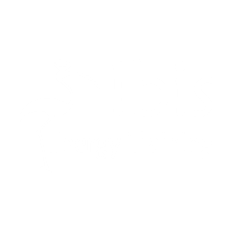 Ibis logo white